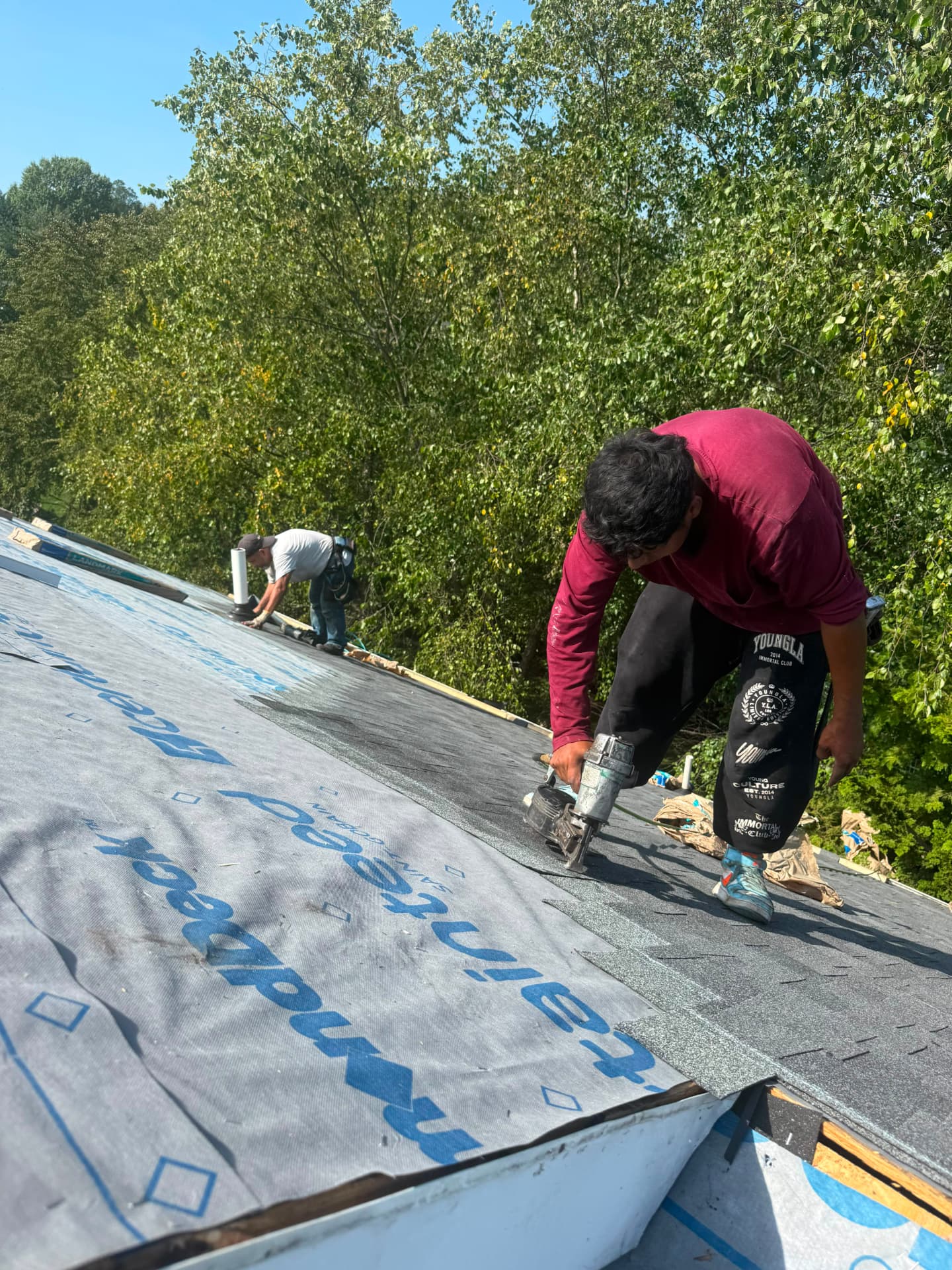 Roofing crew nailing new gray architectural shingles over synthetic underlayment